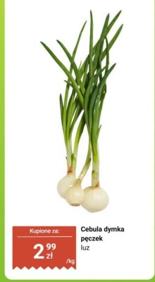 Cebula dymka pęczek luz promocja w Biedronka