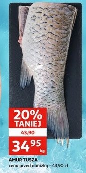 Amur tusza promocja