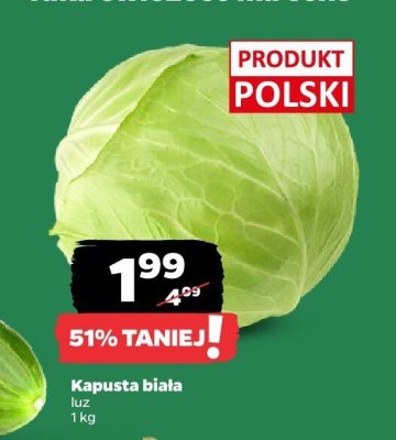 Kapusta biała luz promocja w Netto