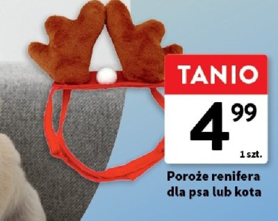 Poroże renifera dla psa lub kota promocja w Intermarche