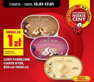 Lody familijne 825 ml-1000 ml drugi produkt za 1 zł promocja w Biedronka