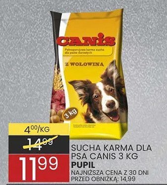 Karma dla psa promocja w Wafelek