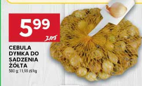 Cebula dymka żółta promocja w Stokrotka