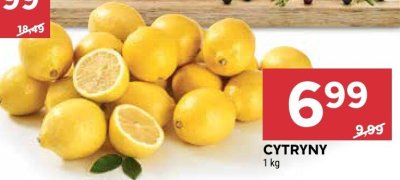 Znicz T401BS, T401KS, różne rodzaje promocja w Stokrotka