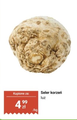 Seler korzeń luz promocja w Biedronka