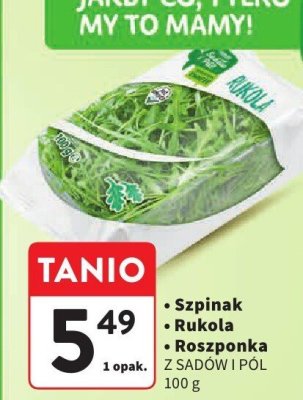 Rukola Z SADÓW I PÓL promocja w Intermarche