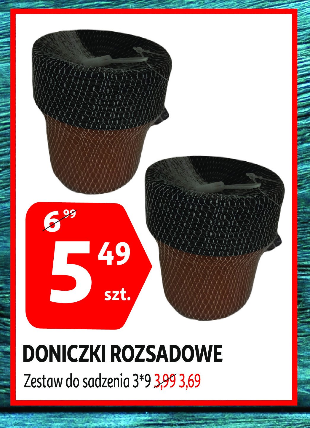 Zestaw do sadzenia promocja w Aldi