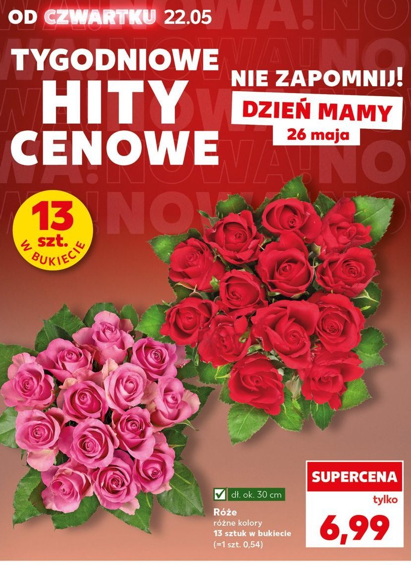 Róże 30 cm promocja w Kaufland