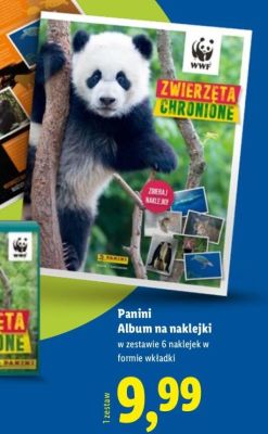 Album na naklejki promocja w Lidl