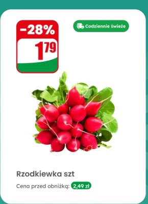 Rzodkiewka 1 szt. promocja w Dino