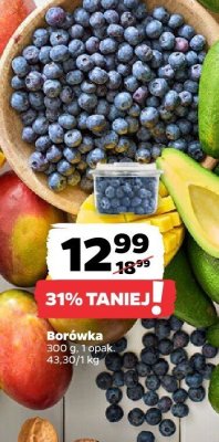 Borówka 300 g promocja w Netto