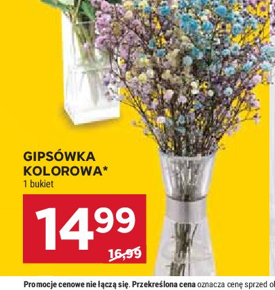 Bukiet cięty gipsówka promocja