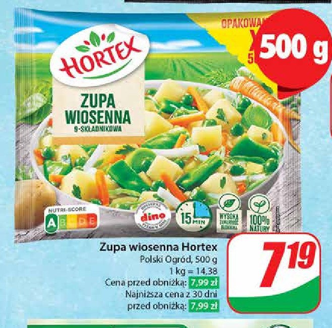 Zupa wiosenna 9-składnikowa Hortex promocja