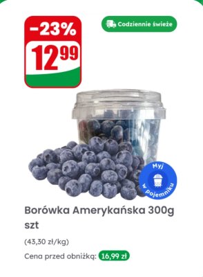 Borówka amerykańska promocja w Dino