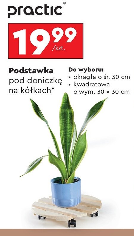 Podstawka pod doniczkę na kółkach 30 x 30 cm Practic promocja w Biedronka