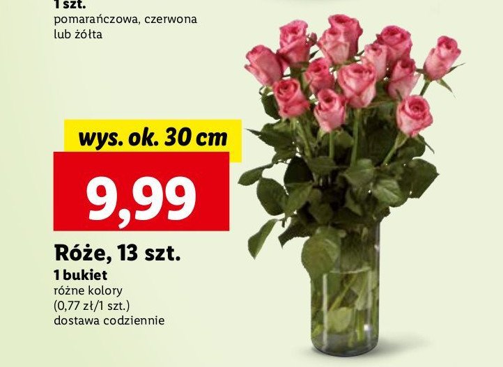 Róże 30 cm promocja