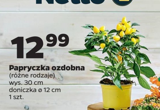 Papryka ozdobna promocja