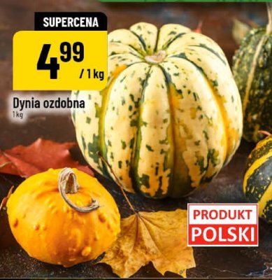 Dynia ozdobna promocja w POLOmarket