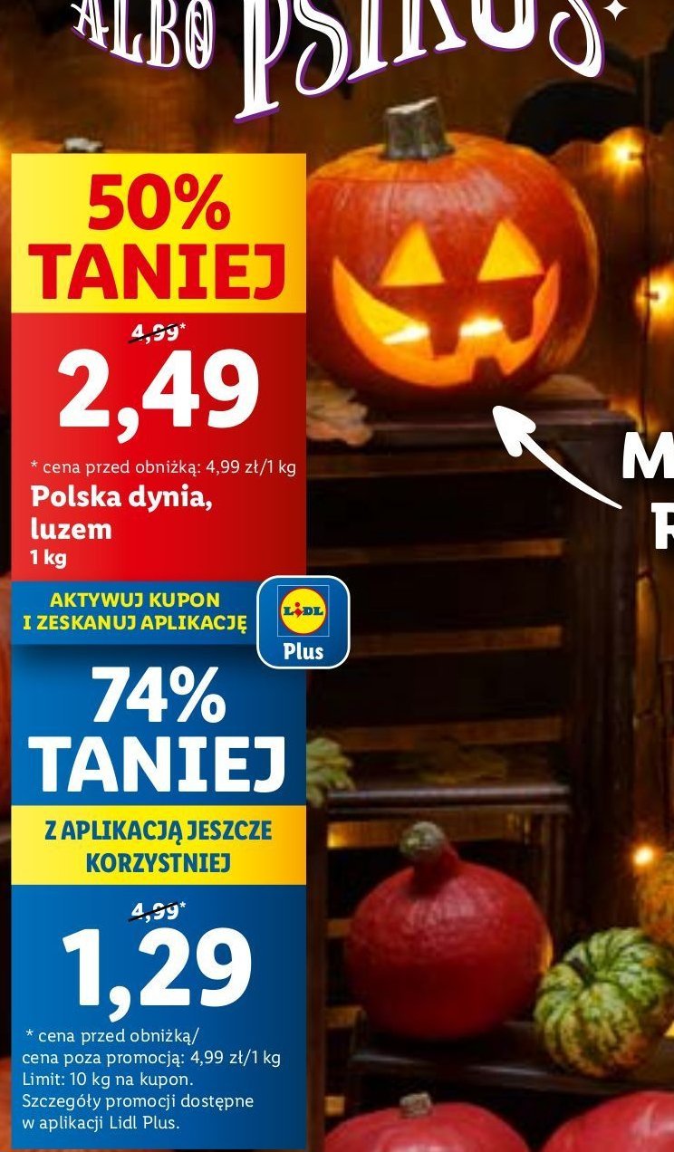 Dynia polska promocja