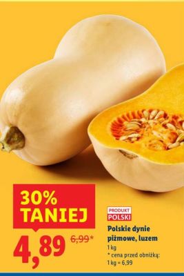 Dynia promocja w Lidl