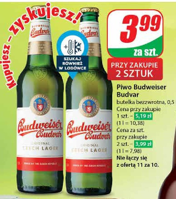 Piwo Budweiser promocja