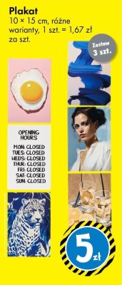 Plakat 10 × 15 cm różne warianty promocja w Tedi