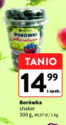 Bor贸wki ameryka艅skie shaker Berrytrade promocja
