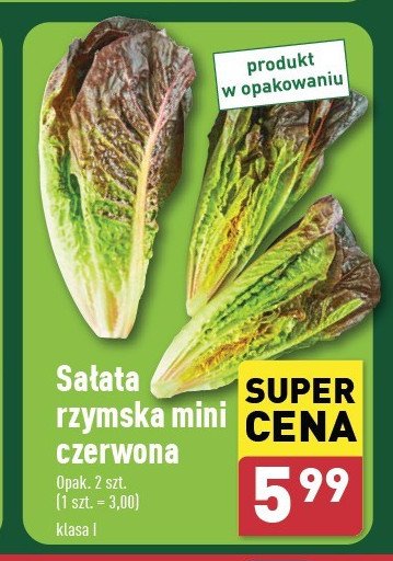 Sałata rzymska mini czerwona polska promocja