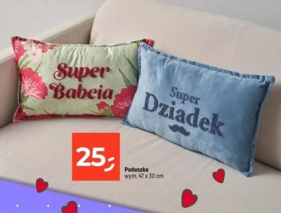Poduszka 47x30 cm promocja w Dealz