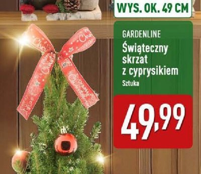 Cyprysik promocja w Aldi