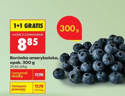Borówka amerykańska, opak. 300 g promocja w Biedronka