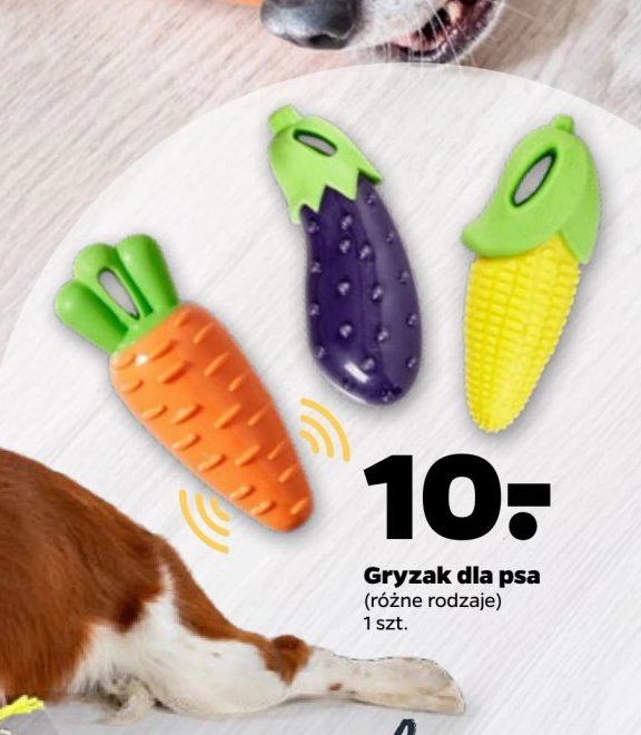 Gryzak dla psa promocja