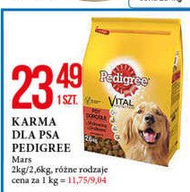 Karma dla psa mini adult z wołowiną Pedigree vital promocja