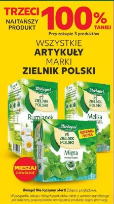 Herbata ZIELNIK POLSKI różne rodzaje promocja w Kaufland