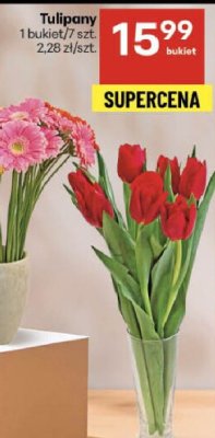 Tulipany 1 bukiet/7 szt. promocja w Delikatesy Centrum