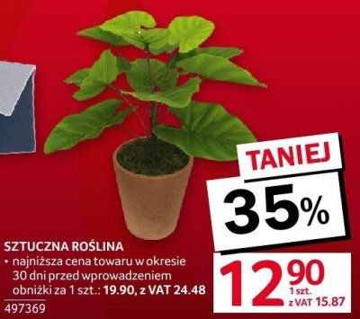Sztuczna roślina promocja w Selgros