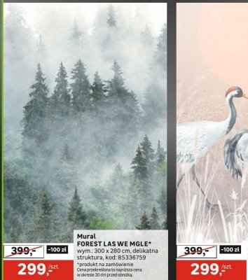 Mural FOREST LAS WE MGLE promocja w Leroy Merlin