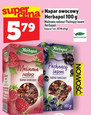 Napar owocowy Herbapol 100 g promocja w TOPAZ