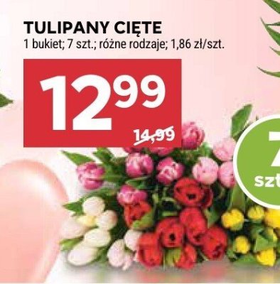 Tulipany cięte 7 szt. promocja w Stokrotka