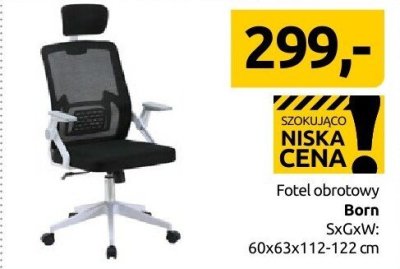 Fotel obrotowy Born promocja w Black Red White