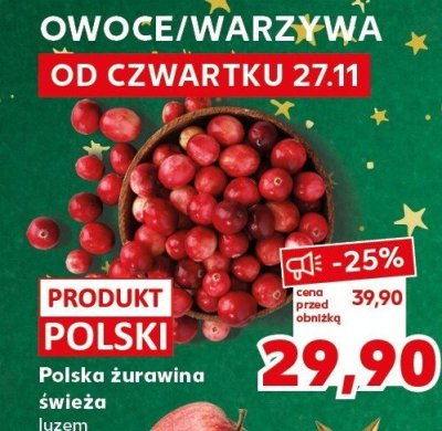Żurawina polska świeża luzem promocja w Kaufland