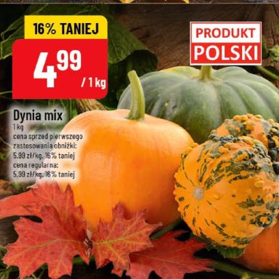 Dynia mix promocja w POLOmarket