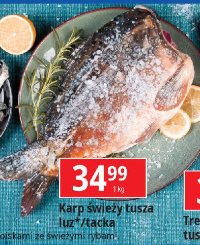 Karp świeży promocja