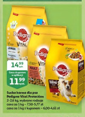 Karma dla psa adult z wołowiną Pedigree vital promocja