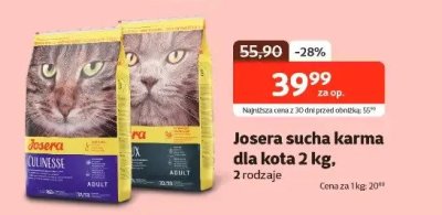 Karma sucha dla kota 2 kg promocja w KAKADU