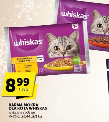 Karma mokra dla kota Whiskas promocja w ABC
