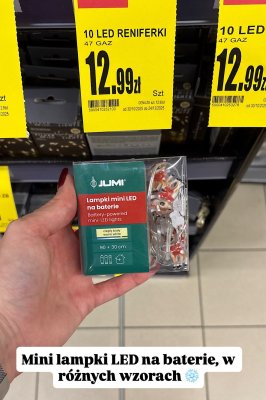 Lampki mini LED na baterie 10 LED reniferki promocja w Intermarche