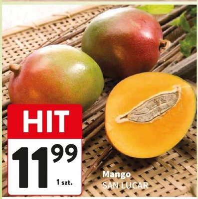 Mango SAN LUCAR promocja w Intermarche
