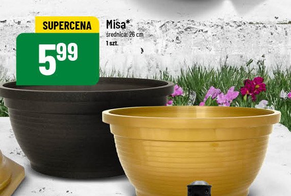 Misa 26 cm promocja