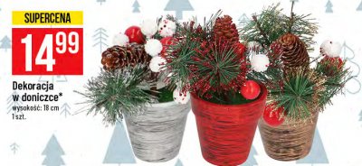 Dekoracja w doniczce promocja w Bricomarche